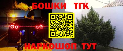 сатива Славгород