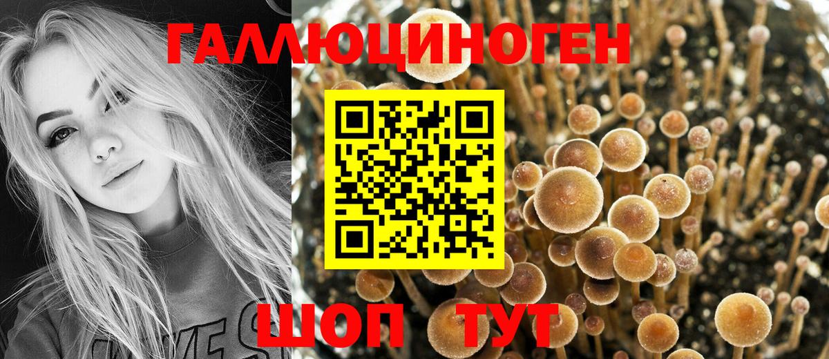 Псилоцибиновые грибы Psilocybe  Вход с VPN  Псилоцибиновые грибы мухоморы  Оренбург 